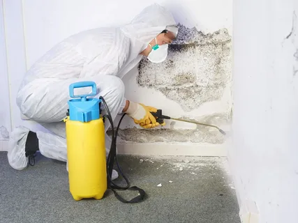mould removal Sydney