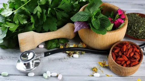 Integrative Medicine Melbourne