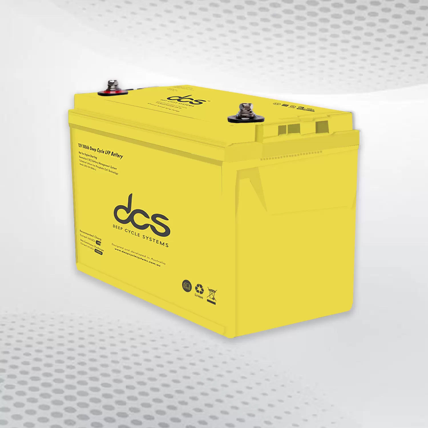 100 AH deep cycle battery